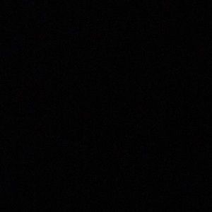 Meet your Posher, Max